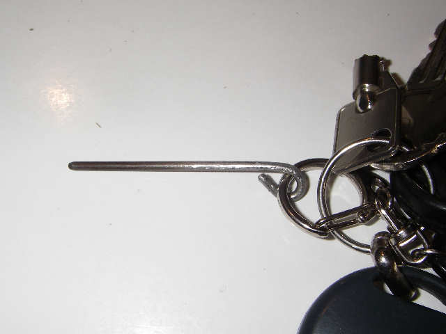 IMGP0113.JPG